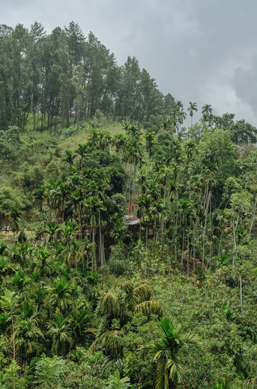 Превью Sri Lanka 2022